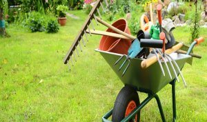 Gartenpflege in Berlin vom Fachmann!